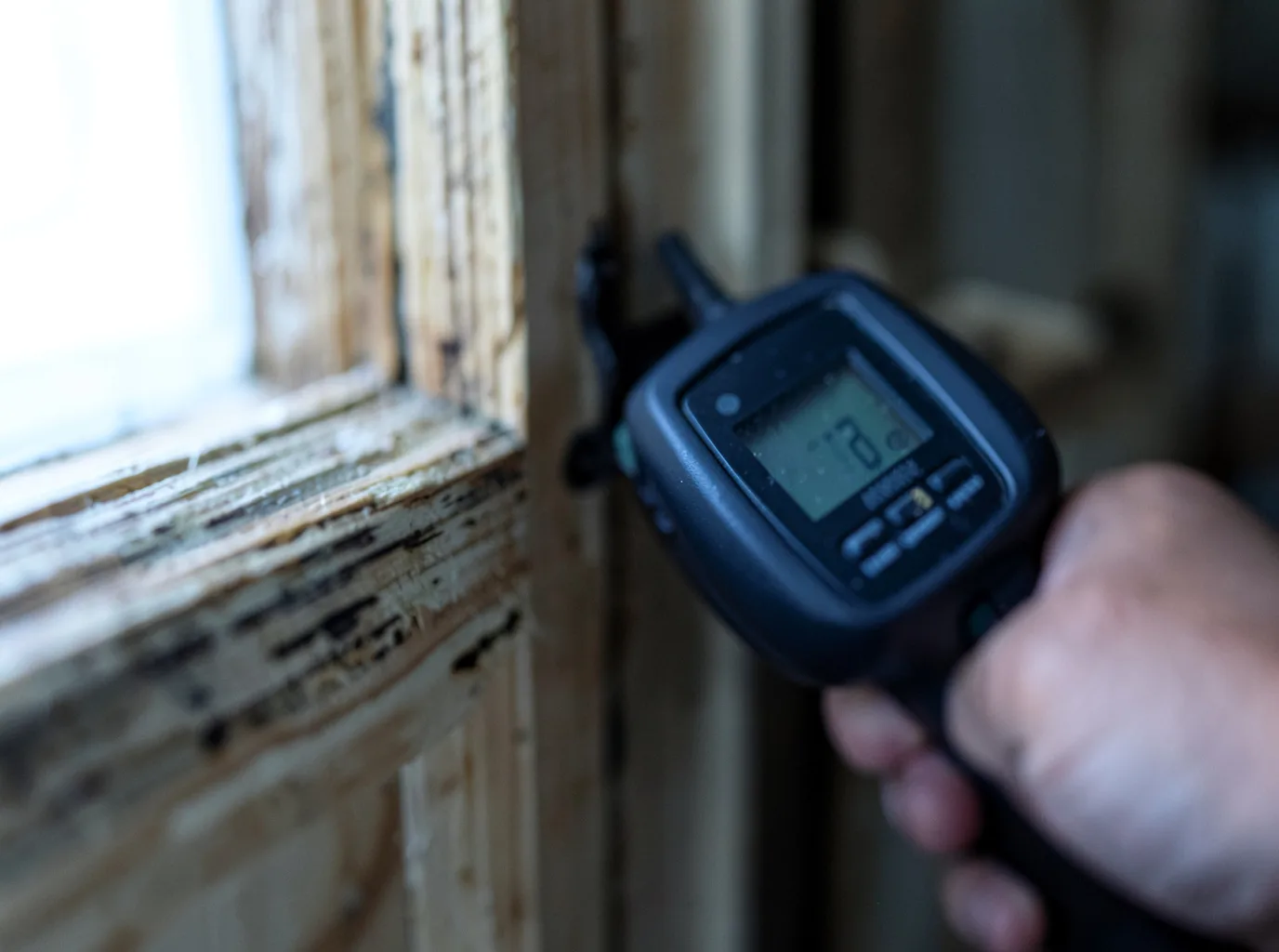 Moisture Inspection And Documentation in Rodman, NY